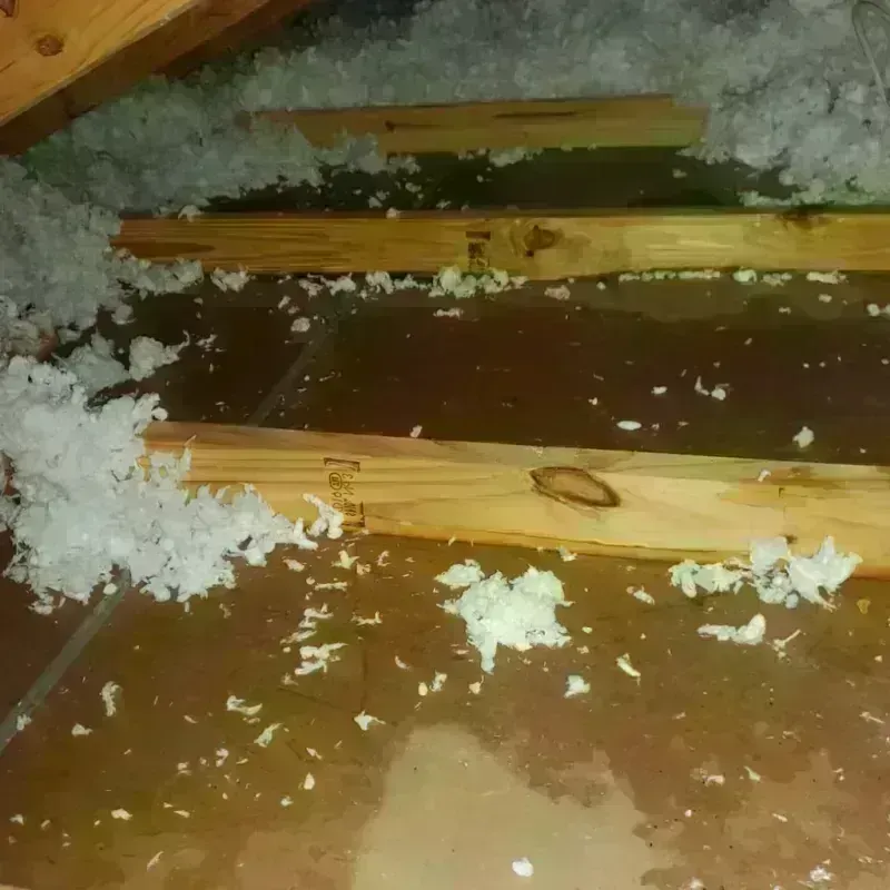 Attic Water Damage in Spring Lake Park, MN