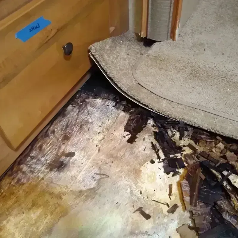 Best Wood Floor Water Damage Service in Spring Lake Park, MN